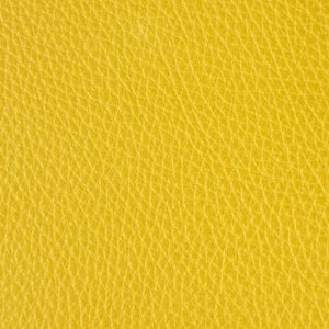 CALYPSO 10 - Girasole