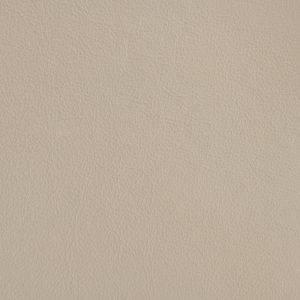IRIDE 06 - Tortora