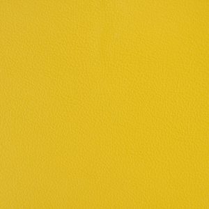 IRIDE 12 - Mango