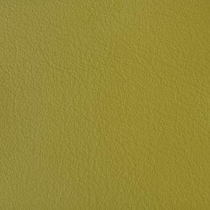 IRIDE 14 - Avocado